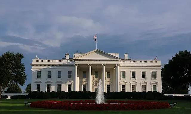 UFC搏击, 早在特朗普 UFC搏击, 早在特朗普